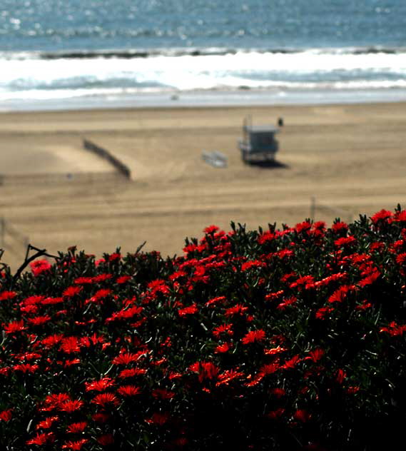 Palisades Park, Santa Monica, Wednesday, March 16, 2011