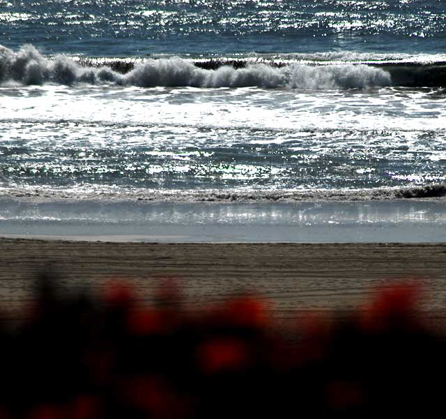 Palisades Park, Santa Monica, Wednesday, March 16, 2011