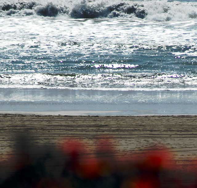 Palisades Park, Santa Monica, Wednesday, March 16, 2011