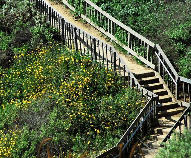 At Palisades Park, Santa Monica, Wednesday, March 16, 2011