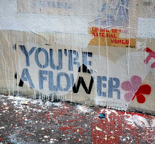 You Are Not a Flower