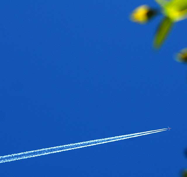 Contrails over LA