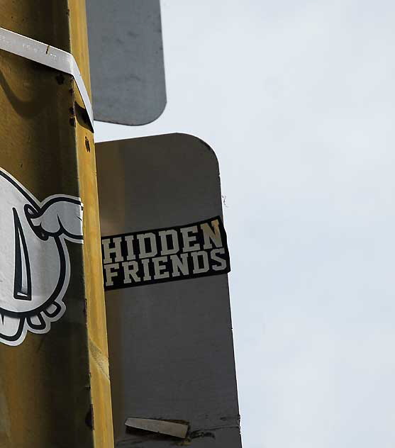 Hidden Friends