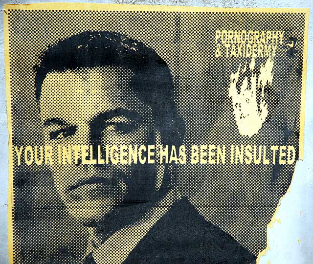 Your Intelligence Has Been Insulted 