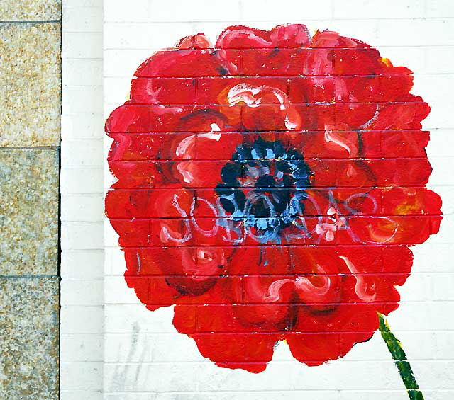 "Random Act" flower, Hollywood Boulevard