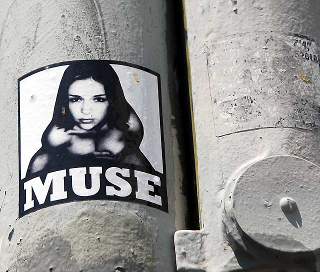 Muse