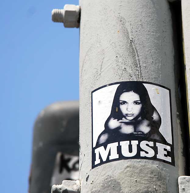 Muse