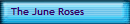 The June Roses