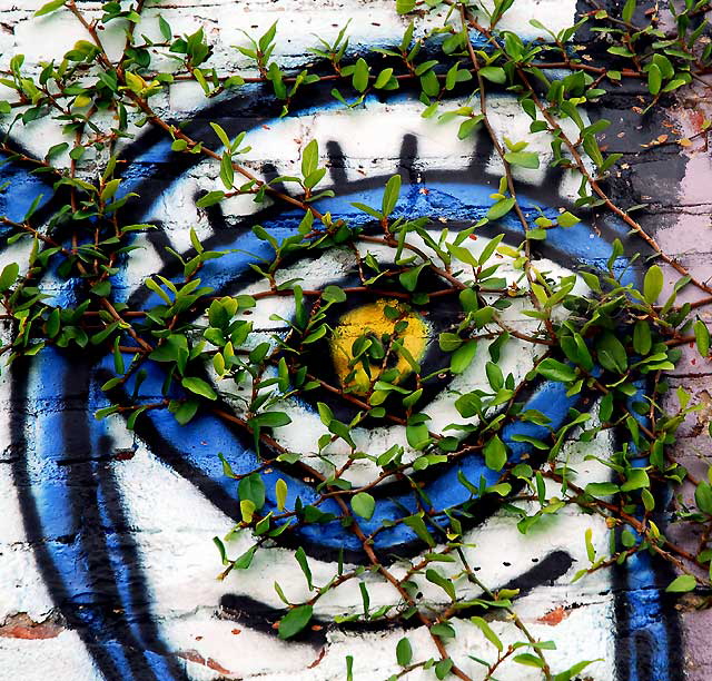 Overgrown Eye - alley behind First and La Brea