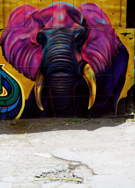 Elephant - detail of Melrose Avenue mural, Monday, June 6, 2011
