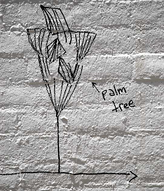 Line Drawing of Palm Tree, Melrose Avenue alley, Monday, June 6, 2011