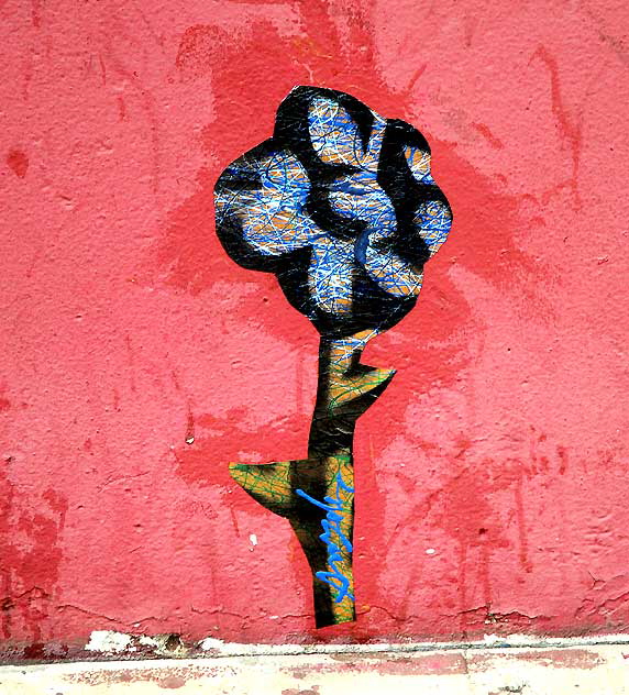 Curb Flower, North La Brea Avenue, Los Angeles, Thursday, June 16, 2011