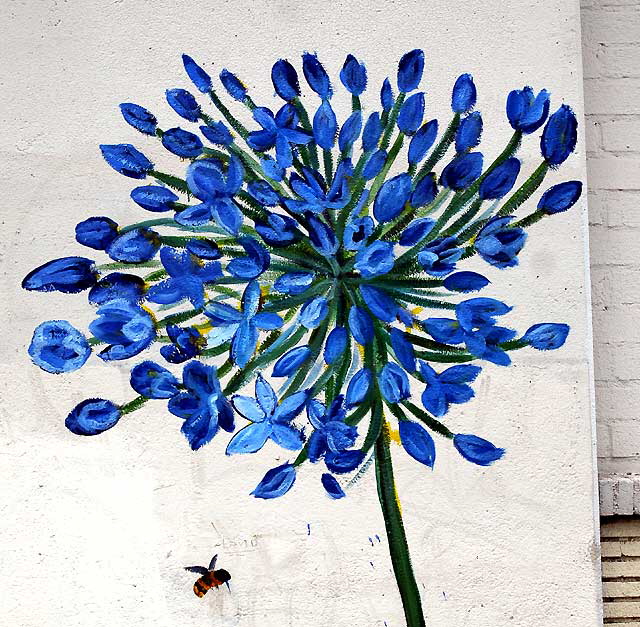 "Random Act" Flower (agapanthus) with Bee - North La Brea Avenue, Los Angeles, Thursday, June 16, 2011