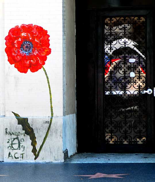 Random Act Flower, Hollywood Boulevard