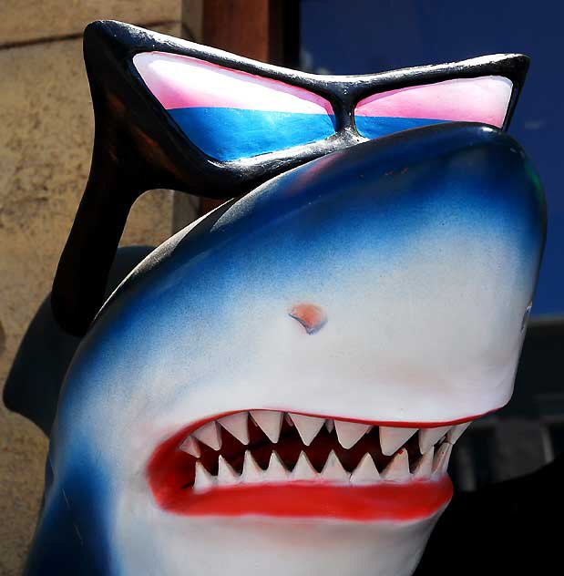 Fiberglass shark, with sunglasses, Hollywood Boulevard, Wednesday, June 29, 20111