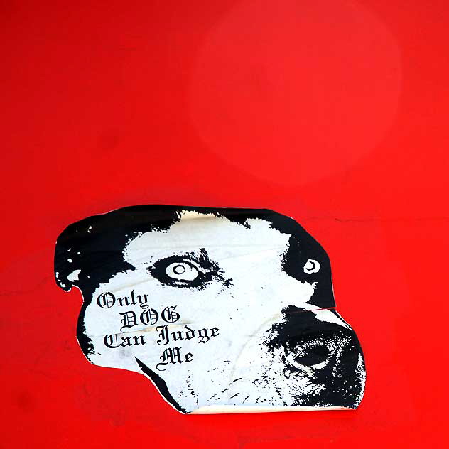 "Only Dog Can Judge Me" - alley behind Pink's Hot Dogs on La Brea in Hollywood, Friday, July 1, 2011