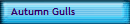 Autumn Gulls