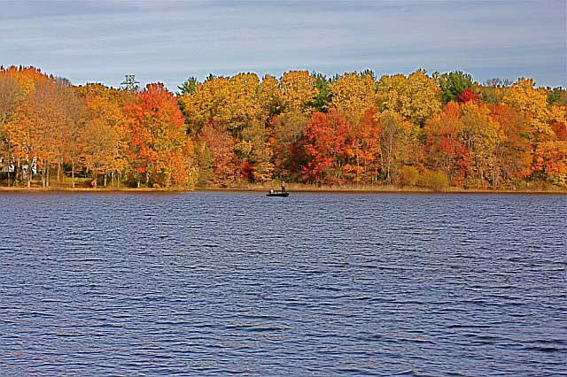 November Woods, photograph by Martin A. Hewitt - Sunday, November 2, 2008