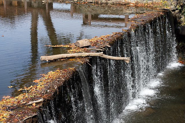 Autumn Back East, photo by Marin A. Hewitt