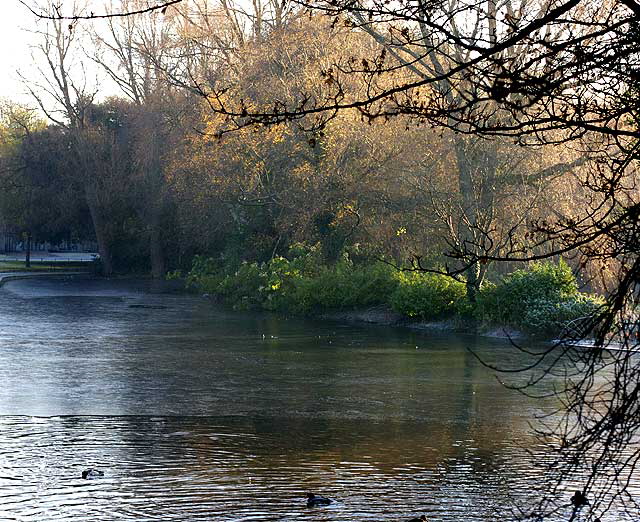 Saint Stephen's Green, Dublin, Ireland, December 7, 2008 - photo by Marin A. Hewitt, all rights reserved