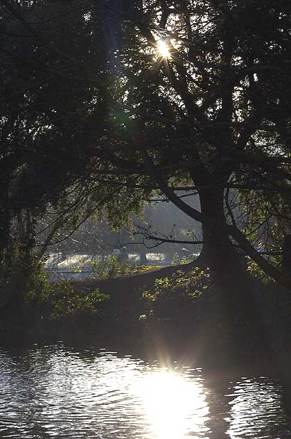 Saint Stephen's Green, Dublin, Ireland, December 7, 2008 - photo by Marin A. Hewitt, all rights reserved