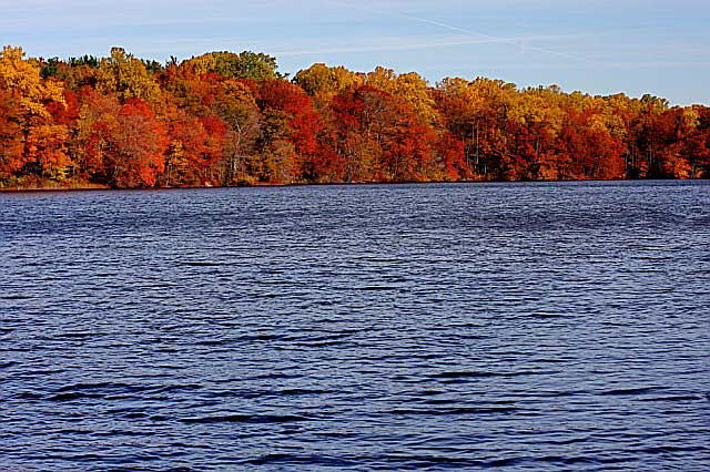 November Woods, photograph by Martin A. Hewitt - Sunday, November 2, 2008