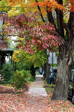 Autumn Back East, photo by Marin A. Hewitt