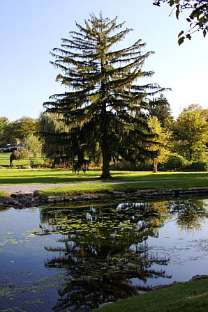 Autumn Back East, photo by Marin A. Hewitt