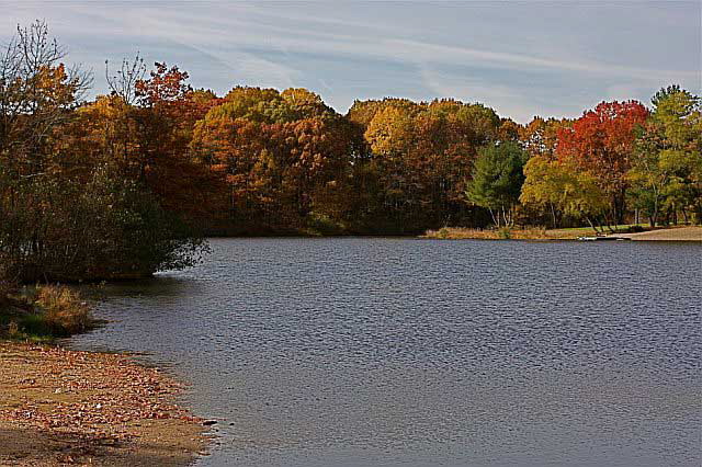 November Woods, photograph by Martin A. Hewitt - Sunday, November 2, 2008