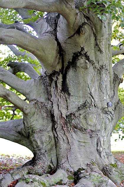 Newport, Rhode Island - photograph by Martin A. Hewitt, all rights reserved