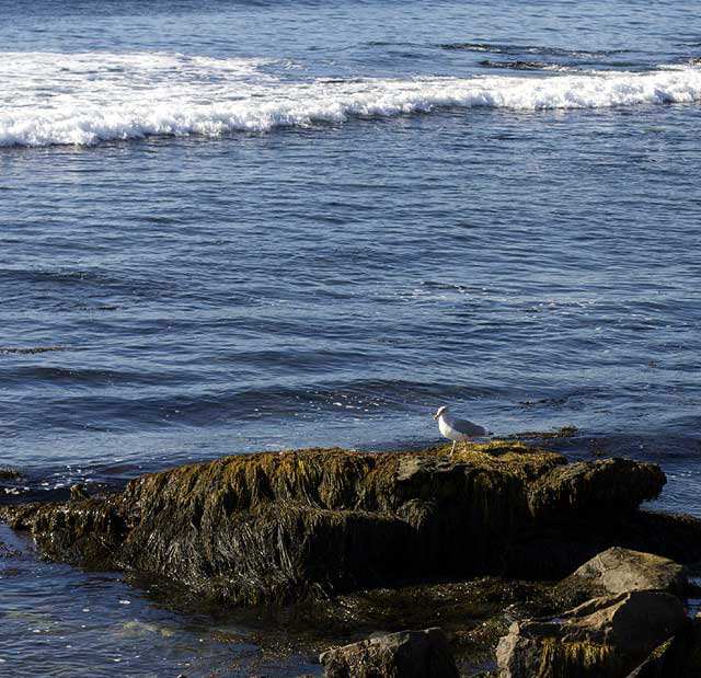 Newport, Rhode Island - photograph by Martin A. Hewitt, all rights reserved