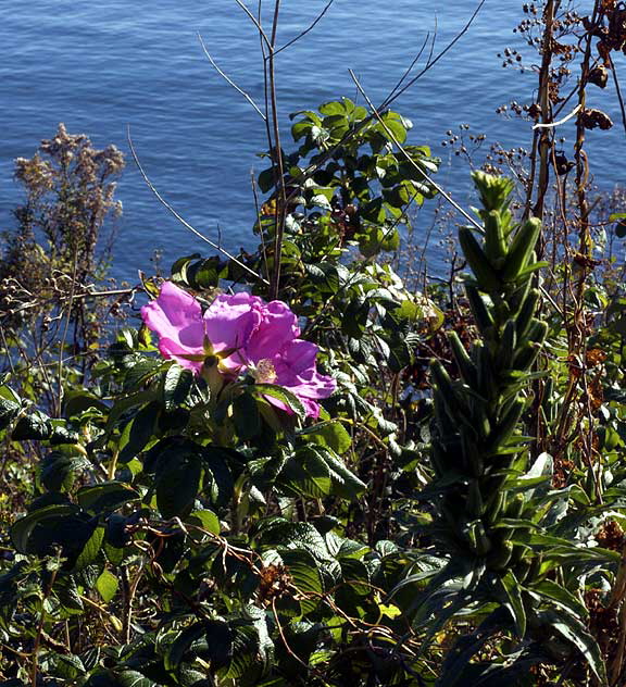 Newport, Rhode Island - photograph by Martin A. Hewitt, all rights reserved