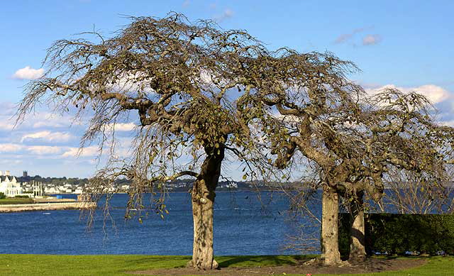 Newport, Rhode Island - photograph by Martin A. Hewitt, all rights reserved