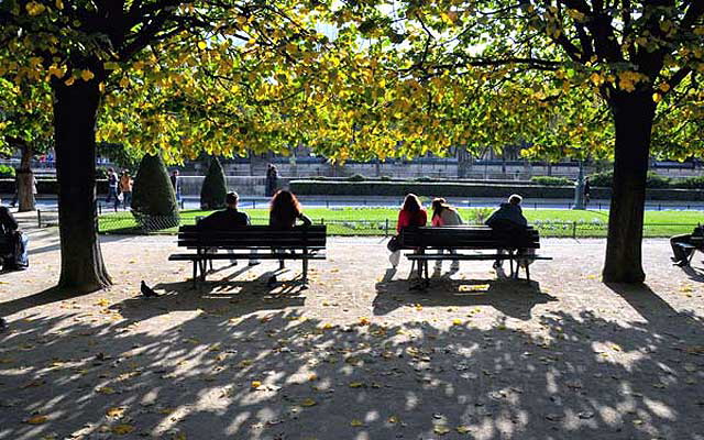 In the park behind Notre Dame, facing the Quartier Latin.