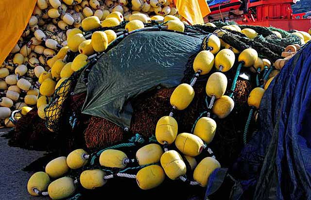 Floats and Nets - Port-Vendres (dpartement of Pyrnes-Orientales, Languedoc-Roussillon rgion)