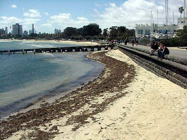 Australia - photo by Robert Patterson