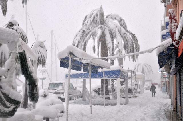 Port-Vendres (dpartement of Pyrnes-Orientales, Languedoc-Roussillon rgion), France - snowstorm of March 7-9, 2010