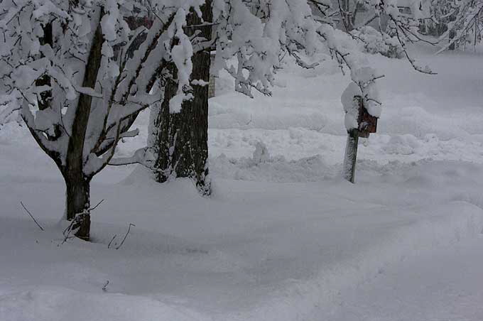 Blizzard, East Brunswick, New Jersey, Wednesday, February 10, 2010 