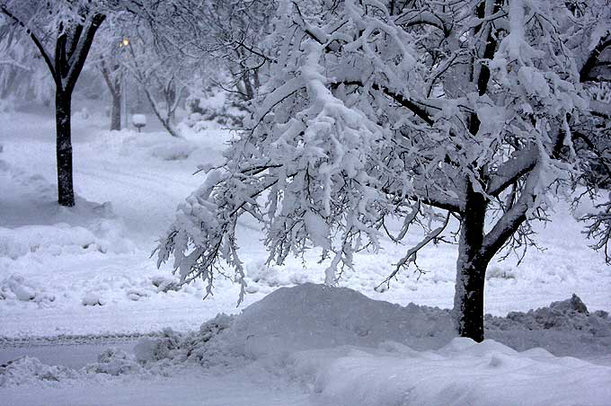 Blizzard, East Brunswick, New Jersey, Wednesday, February 10, 2010 