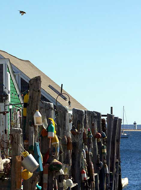 Provincetown, Massachusetts, Monday, October 11, 2010 - photograph copyright  Martin A. Hewitt - used by permission, all rights reserved