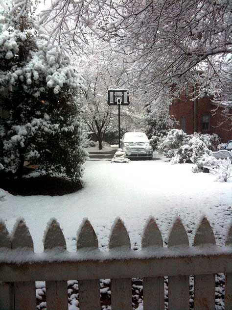 Snow, Decatur, Georgia, Friday, February 12, 2010 