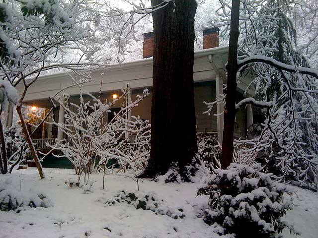 Snow, Decatur, Georgia, Friday, February 12, 2010 