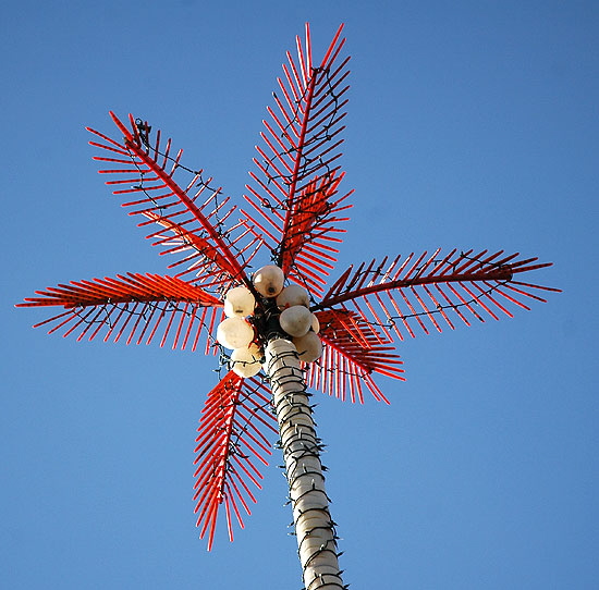 The neon palm at the burgers and pizza shop on Sunset, Rainforest