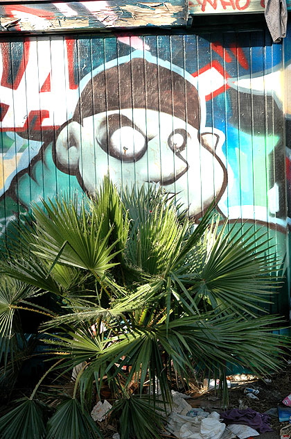 Palm tree with graffiti-man, Melrose Avenue
