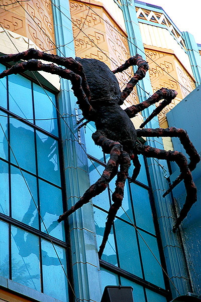 The spider on the wall of the Hollywood Magic Store - Hollywood Boulevard