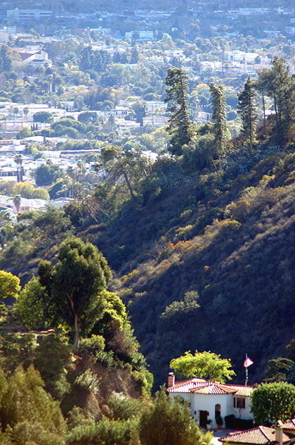 Winter Light - The view from Mulholland Drive, at the turn-out just above the Hollywood Bowl. 