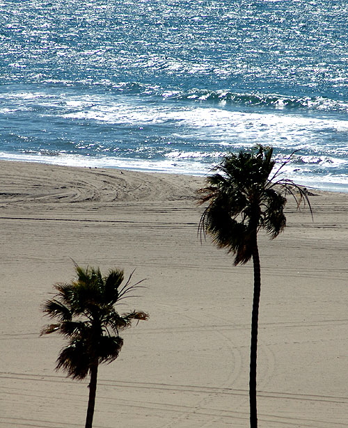 Santa Monica beach, 1 March 2007