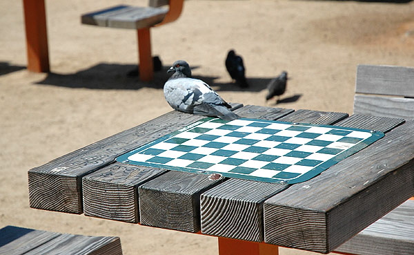 Santa Monica International Chess Park