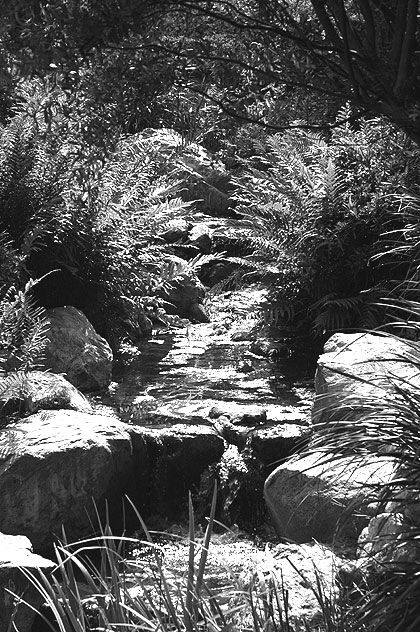 Seriyu-en (Garden of the Clear Stream) - Takeo Uesugi, 1979 (also known as the James Irvine Garden) - 244 South San Pedro Street