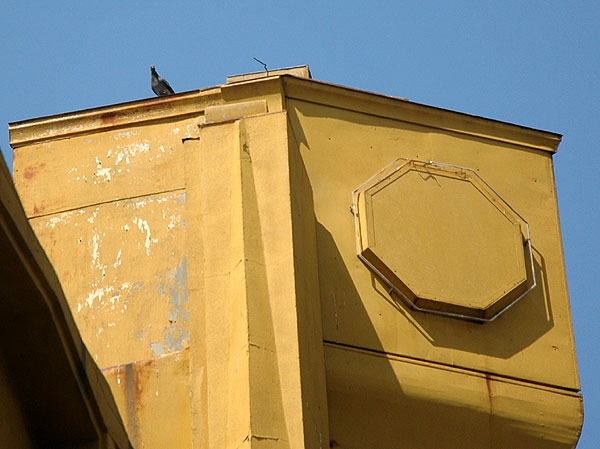 Pigeon on theater roof, Hollywood